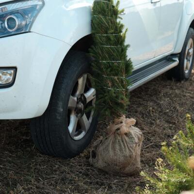 Image for choice number 2