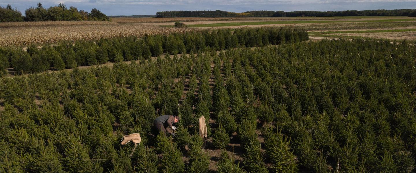 DJI_20251011112233_0032_D